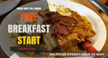 Lemon Tree Breakfast Start Time: Your Morning Dining Guide
