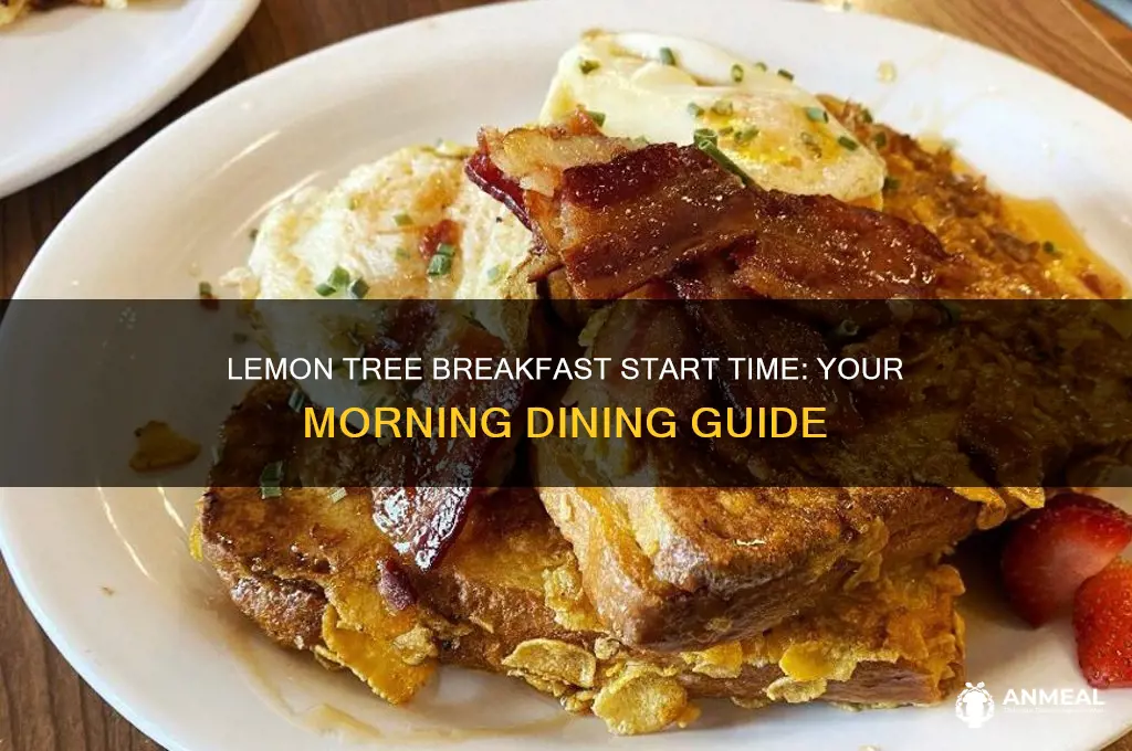 when does the lemon tree breakfast start