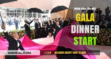 Met Gala Dinner Start Time: When Does the Glamour Begin?