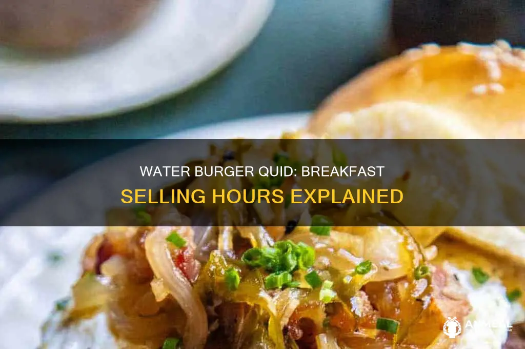 when does water burger quid selling breakfast