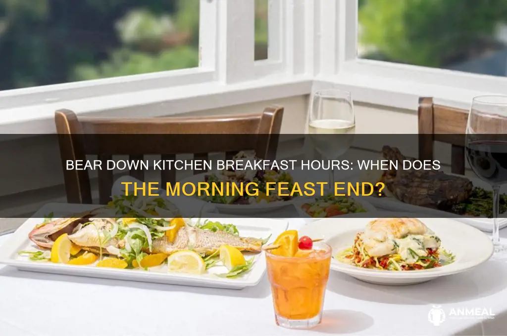 when dos bear down kitchen breakfast end