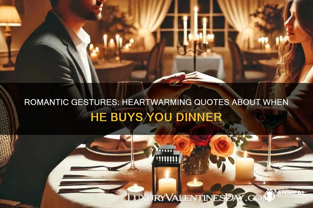 when he buys you dinner quotes