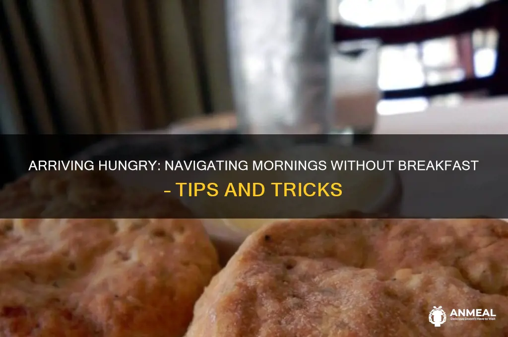 when i arrive i will not have had breakfast