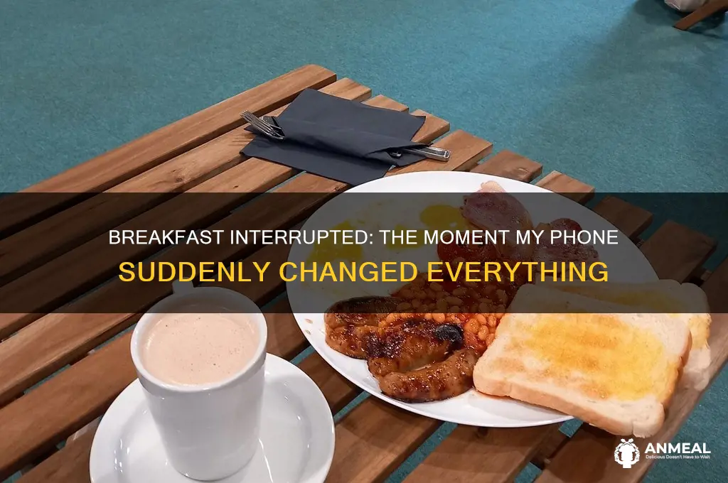 when i was having breakfast the phone suddenly