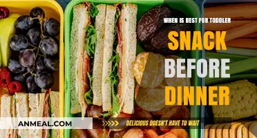 Perfect Timing for Toddler Snacks: Avoiding Dinner Spoilers