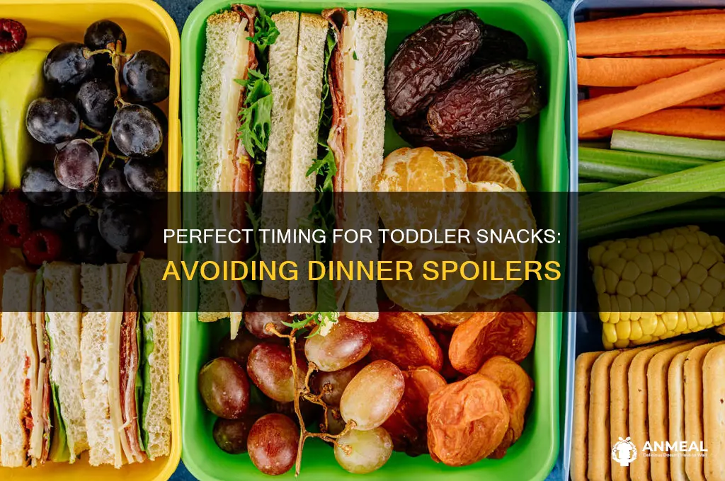 when is best for toddler snack before dinner