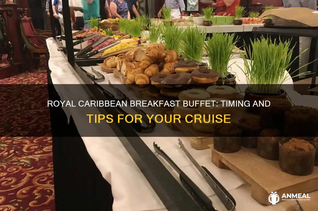 when is breakfast buffet on royal caribbean cruise