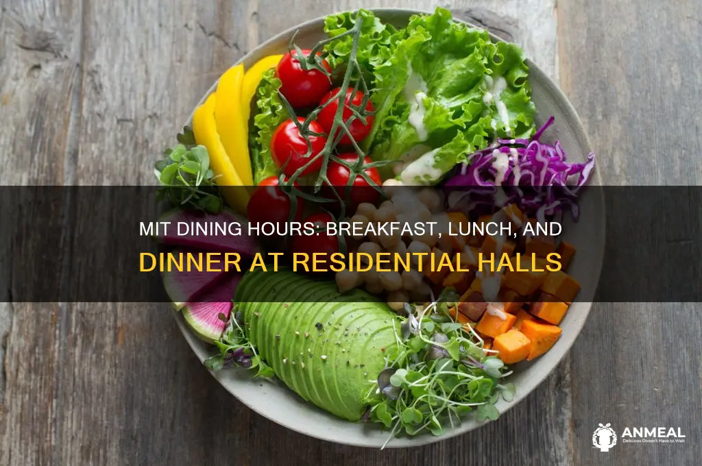 when is breakfast lunch and dinner at mit residential halls