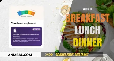 Meal Timing Explained: When to Eat Breakfast, Lunch, and Dinner
