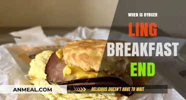 When Does Burger King's Breakfast Menu End? A Quick Guide