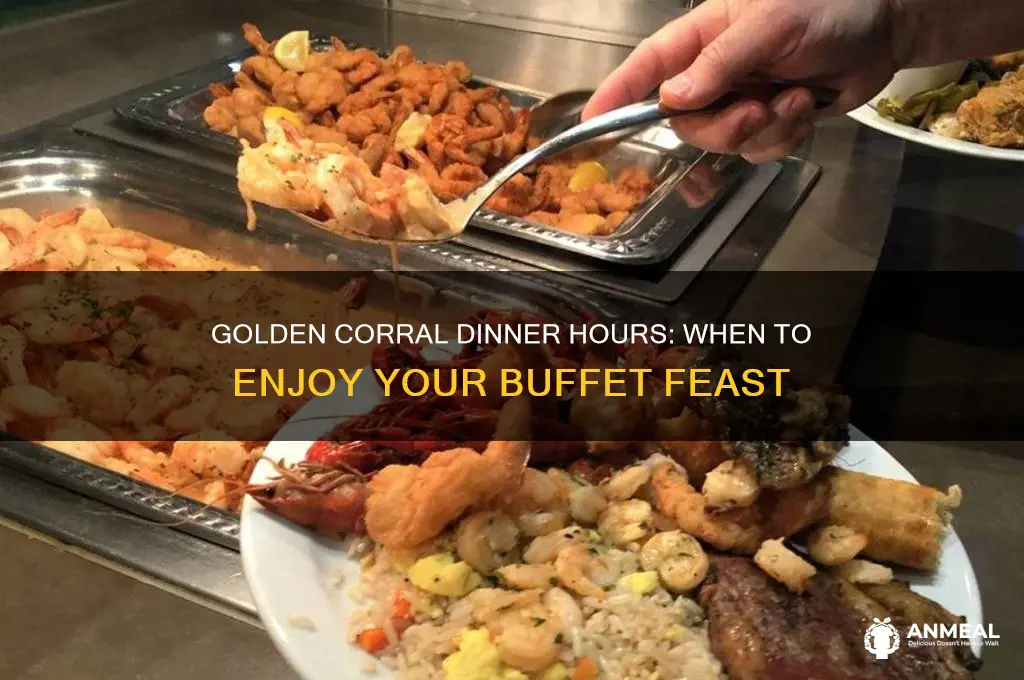 when is dinner at golden coral