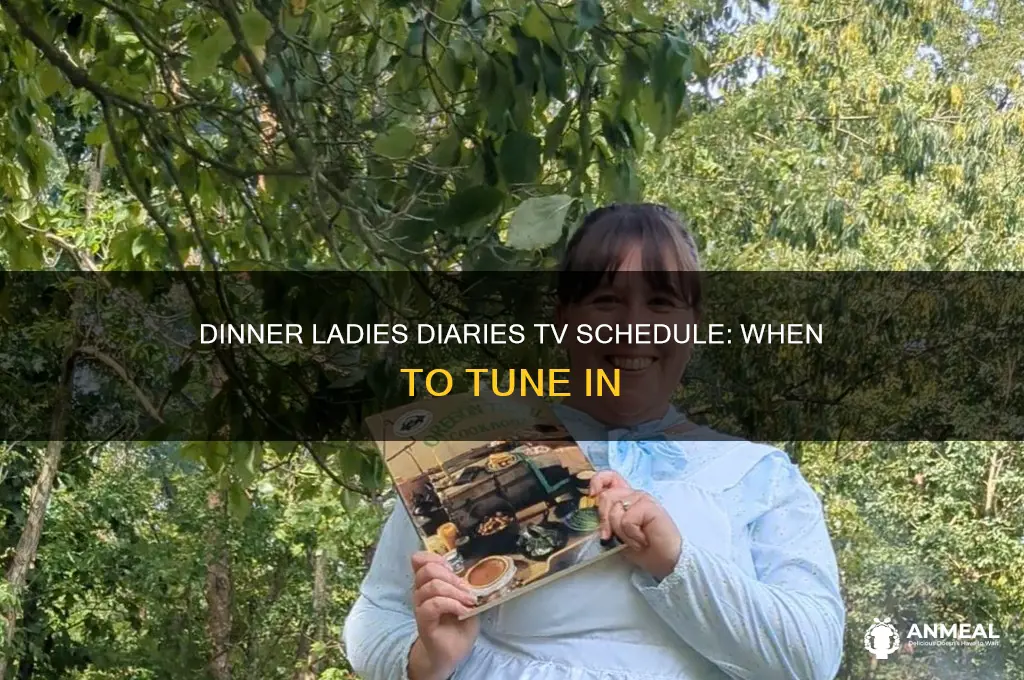 when is dinner ladies diaries on tv
