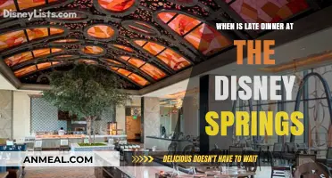Late Dining at Disney Springs: Best Times and Top Spots