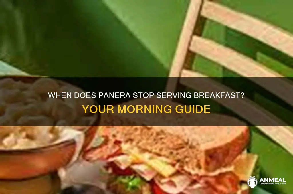 when is panera breakfast over