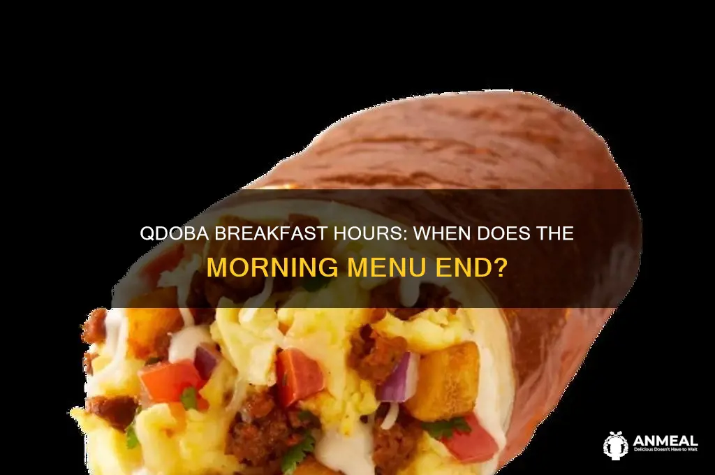 when is qdoba done with breakfast