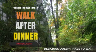 Optimal Post-Dinner Walk Timing for Better Digestion and Health