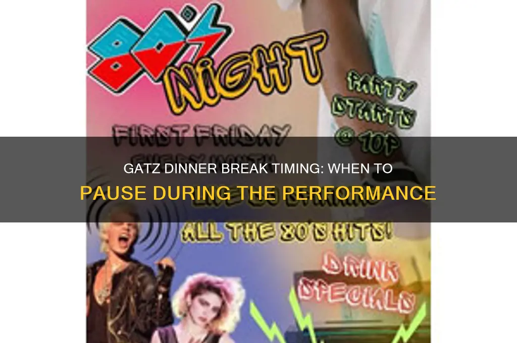 when is the dinner break during gatz