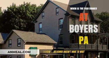 Fish Dinner at Boyer's PA: Date, Time, and Details Revealed