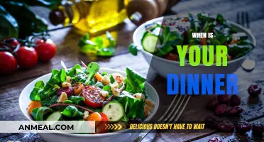 Perfect Timing for Dinner: When Should You Eat Your Evening Meal?