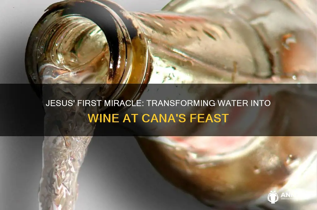 when jesus turned water into wine dinner piece