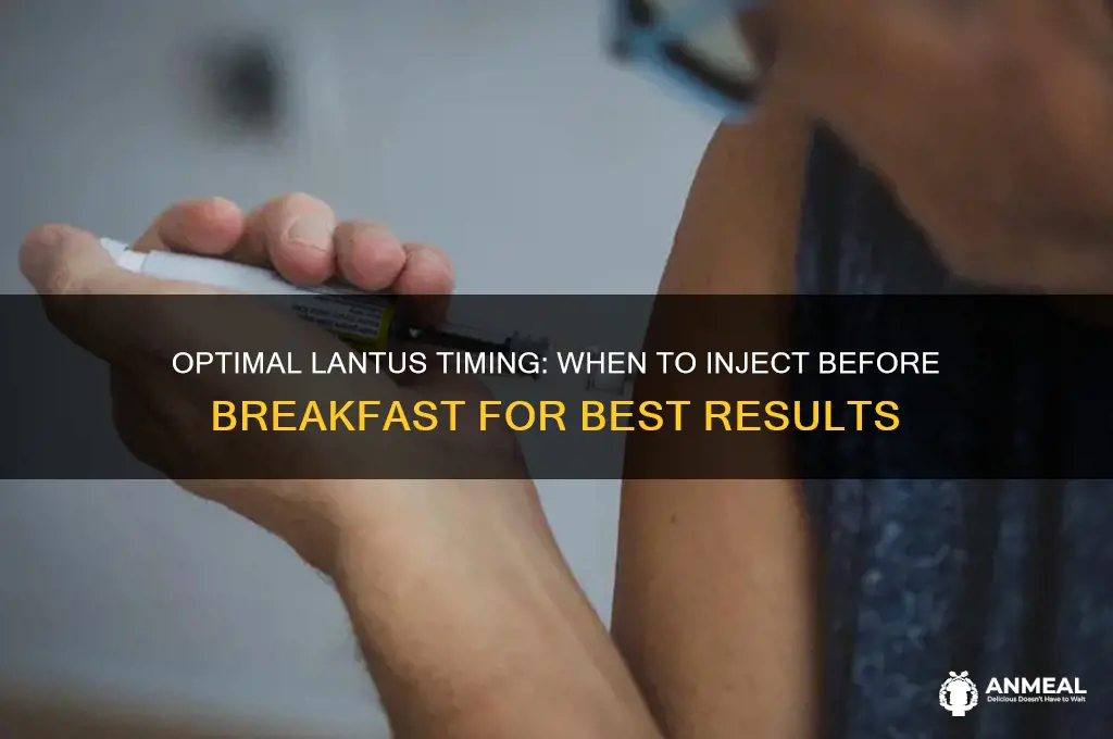 when lantus should be injected before breakfast