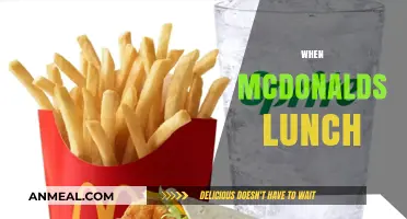 Savoring McDonald's Lunch: A Guide to Midday Delights