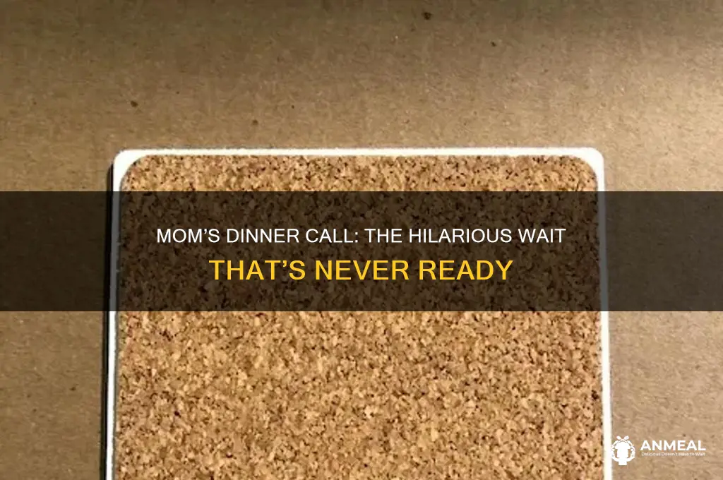 when mom calls you for dinner but its not ready