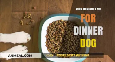 When Mom Calls You for Dinner: A Dog's Hilarious Reaction