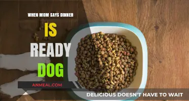 When Mom Calls Dinner: The Dog's Hilarious Reaction Explained