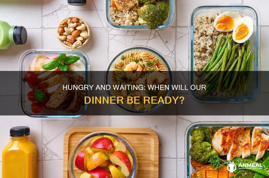 when our dinner ready