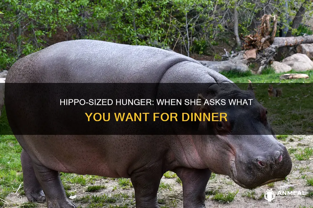 when she asks what you want for dinner hippo