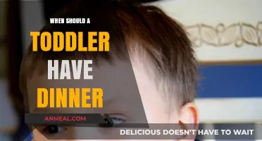 Toddler Dinner Time: Best Practices for Healthy Evening Meals