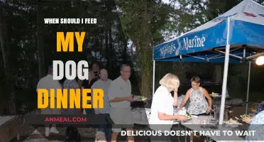 Best Time to Feed Your Dog Dinner: Tips for Optimal Health