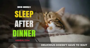 Post-Dinner Sleep Timing: How Long Should You Wait?