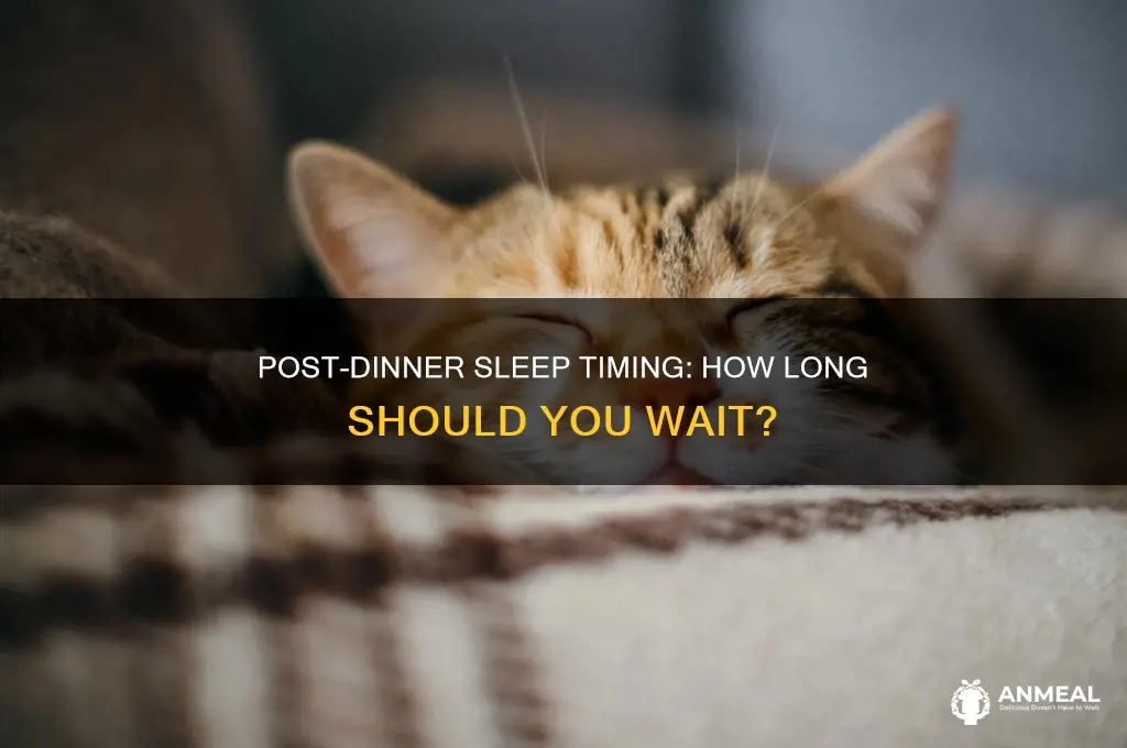 when should i sleep after dinner