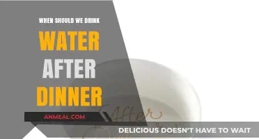 Optimal Hydration Timing: When to Drink Water After Dinner