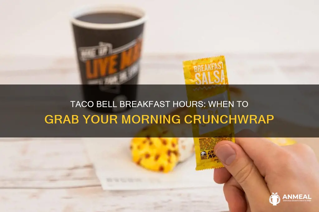 when taco bell breakfast
