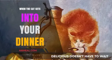 Feline Feast: When Your Cat Steals the Spotlight at Dinner Time