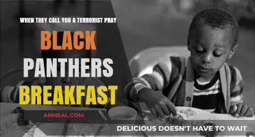 Pray, Resist, Empower: Black Panthers' Breakfast Against Terrorist Labels