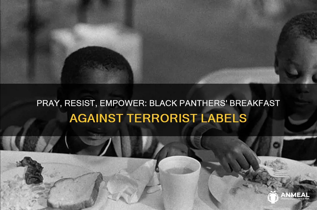 when they call you a terrorist pray black panthers breakfast