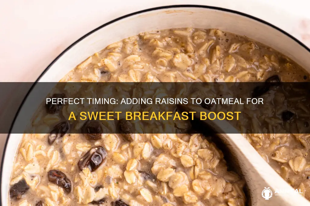 when to add raisins to oatmeal for breakfast