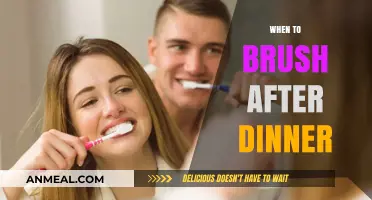 Post-Dinner Dental Care: Optimal Timing for Brushing Your Teeth