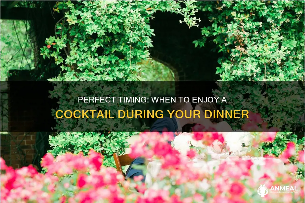 when to drink a cocktail at dinner