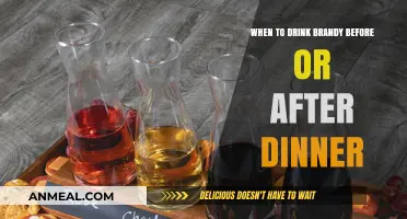Brandy Before or After Dinner: Timing Your Sip for Maximum Enjoyment