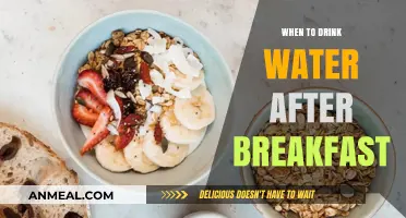 Optimal Hydration Timing: When to Drink Water After Breakfast