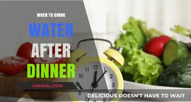 Optimal Hydration Timing: When to Drink Water After Dinner