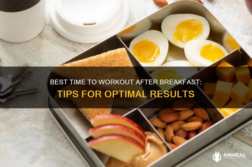 when to exercise after breakfast