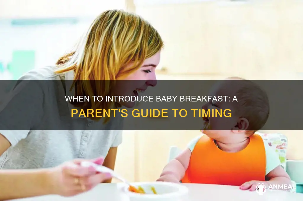 when to feed baby breakfast