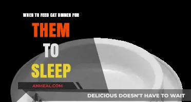 Perfect Timing: When to Feed Your Cat for a Peaceful Night's Sleep