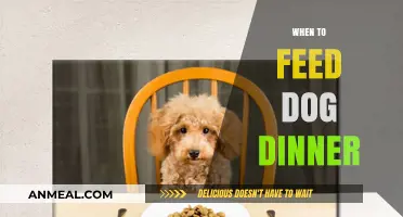 Perfect Timing: When to Feed Your Dog Dinner for Optimal Health
